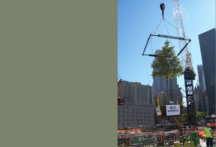 Kelco Landscaping - Project Gallery
