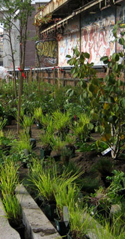 Kelco Landscaping 
